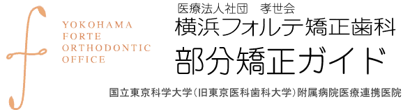 部分矯正ガイド